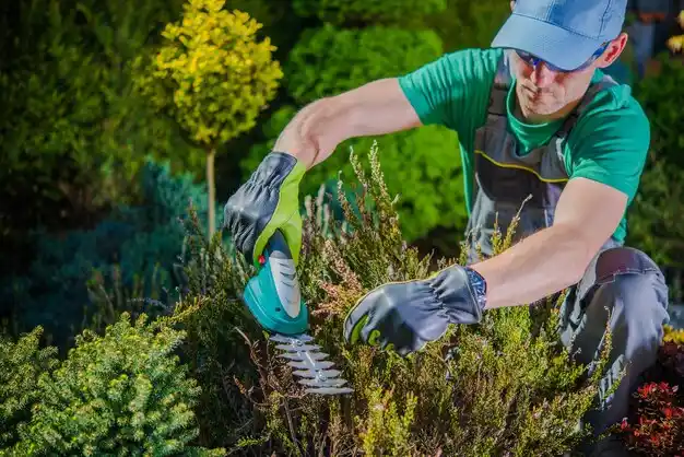 landscaping services Neelyville